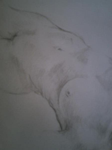 Boceto/Detalle Torso/Desnudo Femenino 2