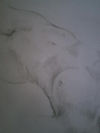 Boceto/Detalle Torso/Desnudo Femenino 2 