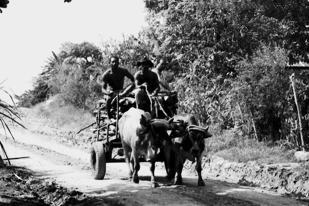 Carreta de Dulce Nombre