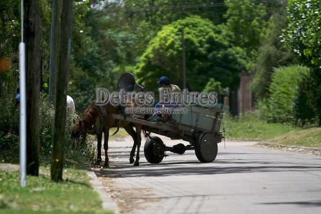 Carro Oil Canvas Landscaping