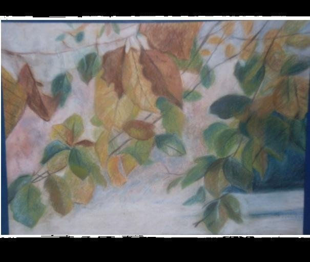 TRANSPARENCIA
