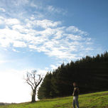 Campo thumbnail 1