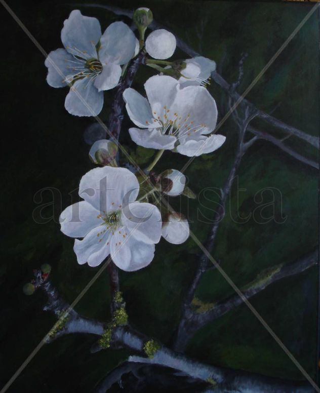 flor de almendro
