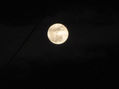 A la luz de la luna