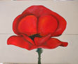 AMAPOLA