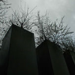 2008 thumbnail 1