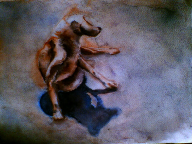 silueta de perro