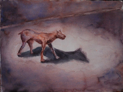 Sombras de perro 2