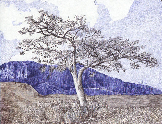 solitario