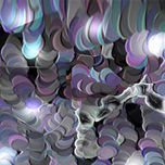 NET ART thumbnail 2