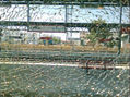 CRISTALES ROTOS
