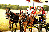 Romeriia 2008...