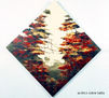 PAISAJES DEL SUR