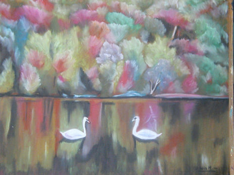 Cisnes