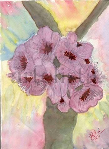 Matices