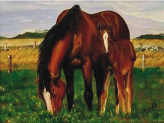 POTRILLO