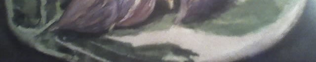 Imagen de portada