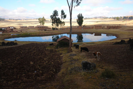 PAISAJE  - Alturas...