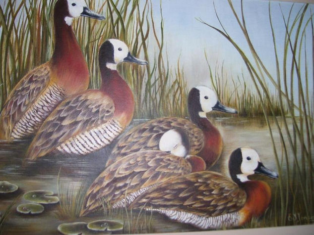 patos siriri Oil Canvas Landscaping