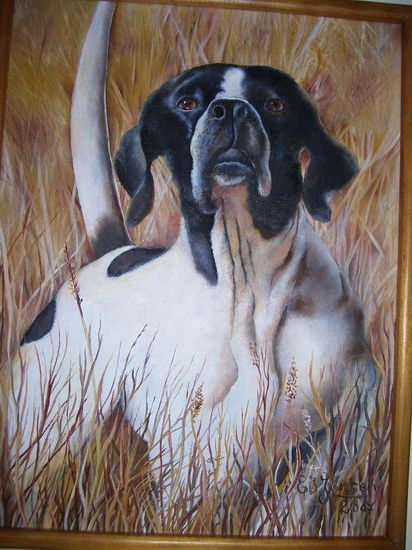 perro de caza 