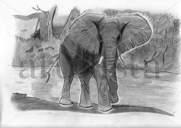 Elefante africano Pencil