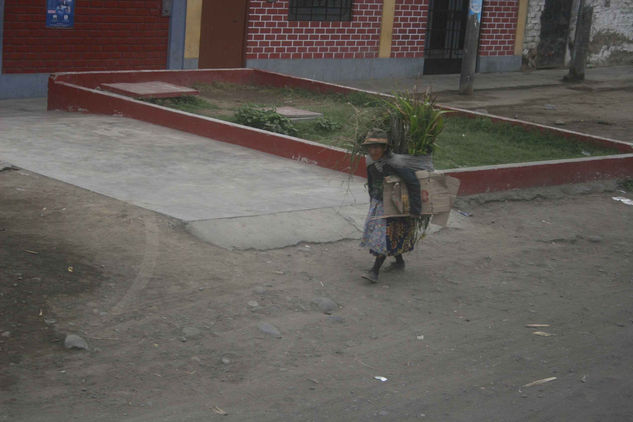 Campesina peruana.. 