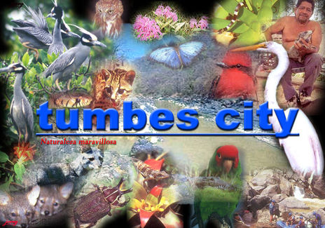 Frontera viva tumbes