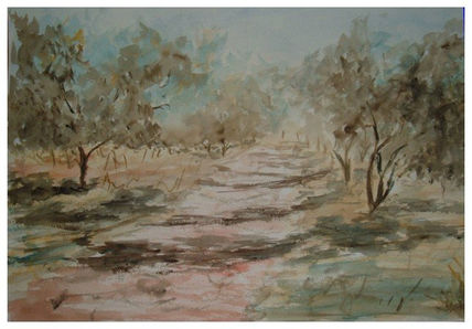 Camino7