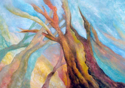 Arboles caidos