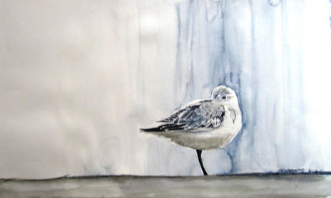 Pajarito