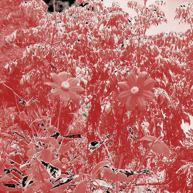 naturaleza 3