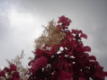 naturaleza