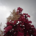 las primeras fotos. thumbnail 2