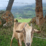 las primeras fotos. thumbnail 1
