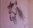 dibujo