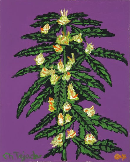 Marihuana en flor Acrylic Canvas Floral Painting