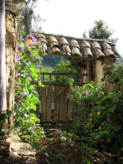 Entrada  de  paz