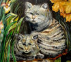 gatos