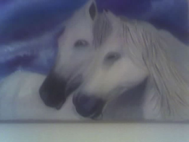 caballos