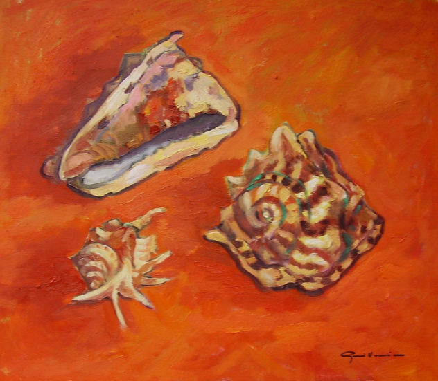 caracolas 2