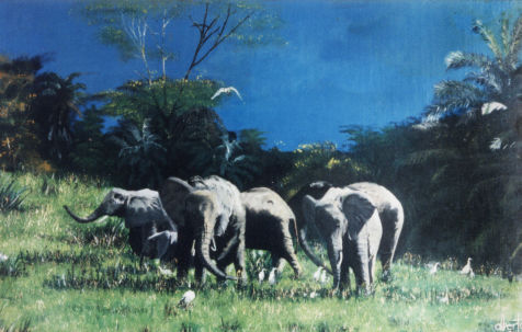 Africa ,elefantes 4 Oil Canvas