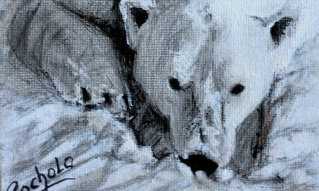 Animales