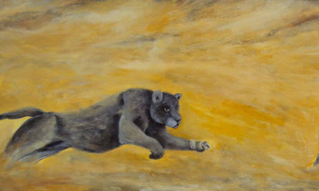 EL TERRITORIO DEL JAGUAR