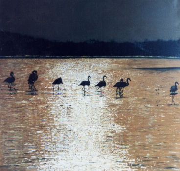 Africa ,aves Óleo Lienzo