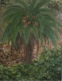 Palmera