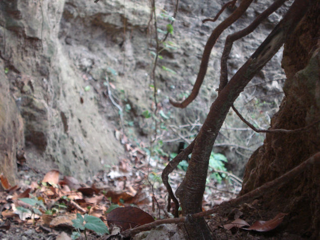 el agujero de un corazon sin sentido 