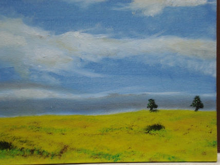 Paisaje 17