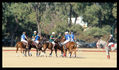 Polo Argentino