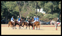 Polo Argentino