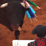 Mirada de una Pasiòn. thumbnail 2